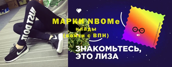прущие грибы Абинск
