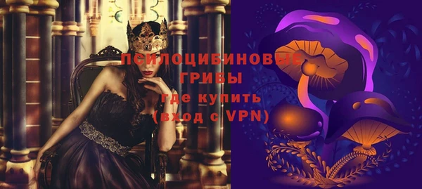 прущие грибы Абинск