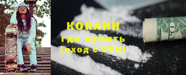 прущие грибы Абинск