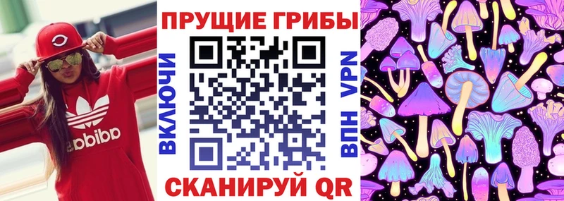Галлюциногенные грибы мухоморы  Чухлома 